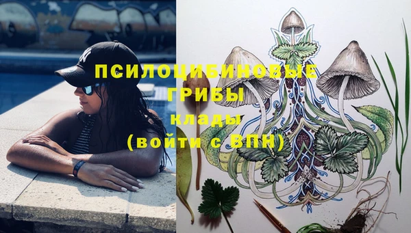 прущий лед Лагань