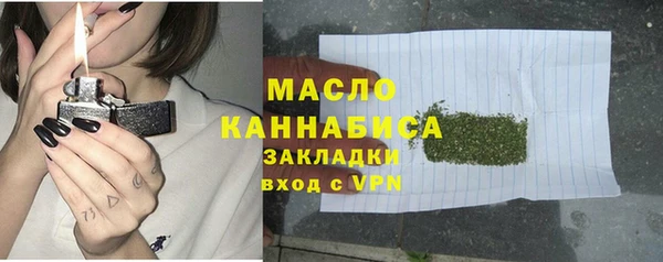 гашик Ладушкин