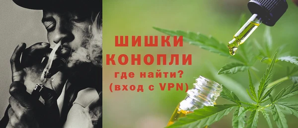 гашик Ладушкин