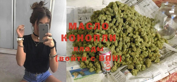 гашик Ладушкин