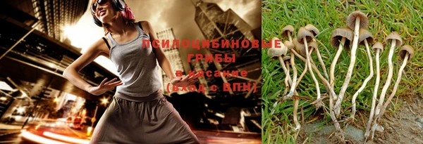 прущий лед Лагань