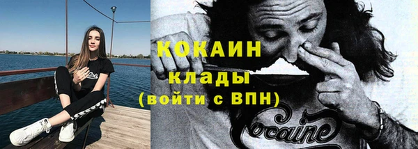 гашик Ладушкин