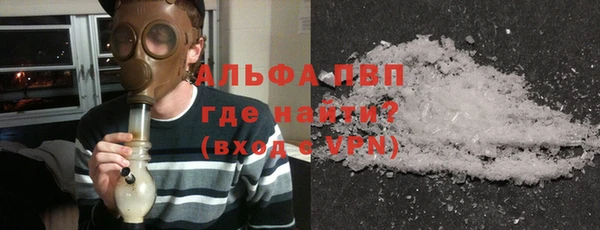 гашик Ладушкин