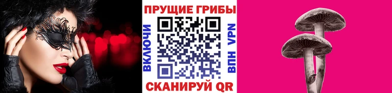 hydra как войти  цены наркотик  Тында  Псилоцибиновые грибы Psilocybine cubensis 