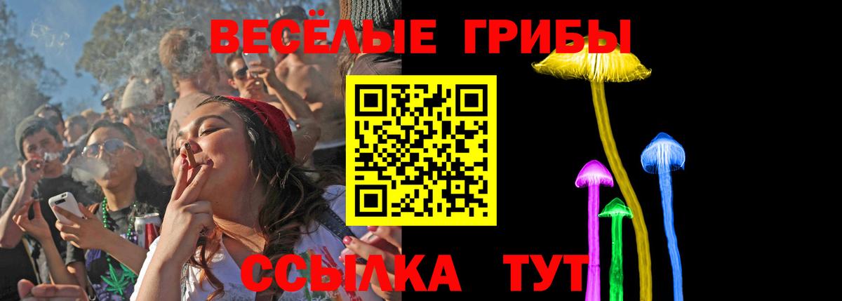 Галлюциногенные грибы мицелий  Псилоцибиновые грибы Magic Shrooms  Тында 