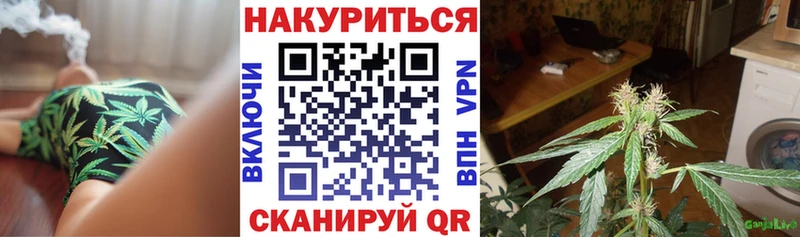 Бошки марихуана сатива  Тында 